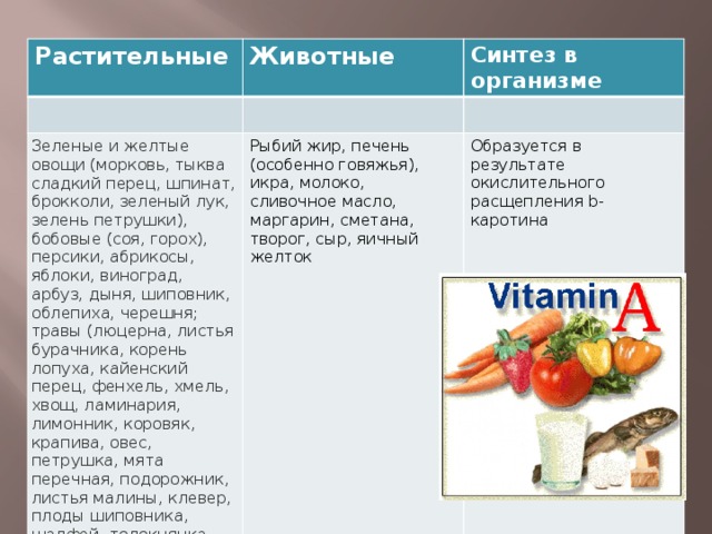 Растительные Животные Синтез в организме Зеленые и желтые овощи (морковь, тыква сладкий перец, шпинат, брокколи, зеленый лук, зелень петрушки), бобовые (соя, горох), персики, абрикосы, яблоки, виноград, арбуз, дыня, шиповник, облепиха, черешня; травы (люцерна, листья бурачника, корень лопуха, кайенский перец, фенхель, хмель, хвощ, ламинария, лимонник, коровяк, крапива, овес, петрушка, мята перечная, подорожник, листья малины, клевер, плоды шиповника, шалфей, толокнянка, листья фиалки, щавель). Рыбий жир, печень (особенно говяжья), икра, молоко, сливочное масло, маргарин, сметана, творог, сыр, яичный желток Образуется в результате окислительного расщепления b-каротина 