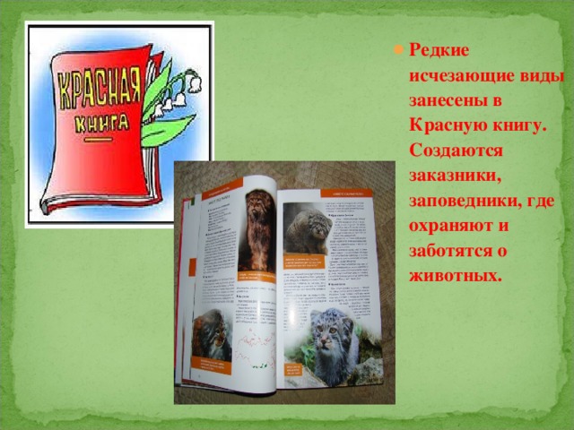Редкие исчезающие виды занесены в Красную книгу. Создаются заказники, заповедники, где охраняют и заботятся о животных. 