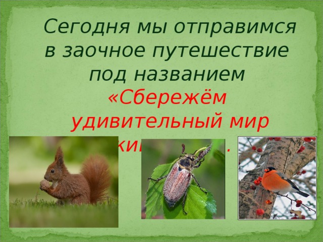 Сегодня мы отправимся в заочное путешествие под названием «Сбережём удивительный мир животных». 