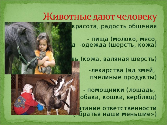  -красота, радость общения   - пища (молоко, мясо, яйца, мёд -одежда (шерсть, кожа) -обувь (кожа, валяная шерсть)   -лекарства (яд змей, пчелиные продукты)  - помощники (лошадь, собака, кошка, верблюд)   - воспитание ответственности  («братья наши меньшие») 