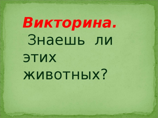 Викторина.  Знаешь ли этих животных? 