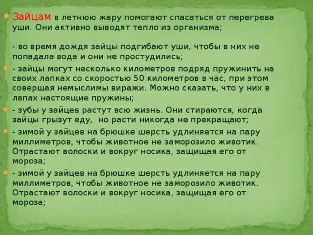Зайцам  в летнюю жару помогают спасаться от перегрева уши. Они активно выводят тепло из организма;    - во время дождя зайцы подгибают уши, чтобы в них не попадала вода и они не простудились;  - зайцы могут несколько километров подряд пружинить на своих лапках со скоростью 50 километров в час, при этом совершая немыслимы виражи. Можно сказать, что у них в лапах настоящие пружины; - зубы у зайцев растут всю жизнь. Они стираются, когда зайцы грызут еду,  но расти никогда не прекращают; - зимой у зайцев на брюшке шерсть удлиняется на пару миллиметров, чтобы животное не заморозило животик. Отрастают волоски и вокруг носика, защищая его от мороза;  - зимой у зайцев на брюшке шерсть удлиняется на пару миллиметров, чтобы животное не заморозило животик. Отрастают волоски и вокруг носика, защищая его от мороза;  
