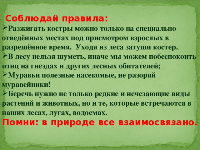 Специально отведенное. Почему нельзя разводить костер в лесу. Почему нельзя разжигать костер в лесу. Почему нельзя разводить огонь в лесу. Разжигать правило.