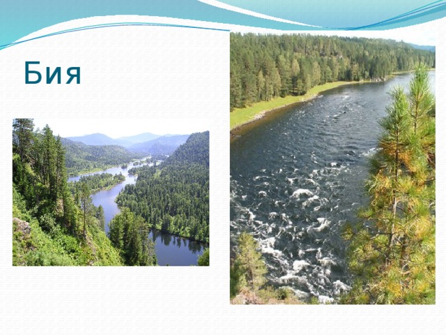 Бия 