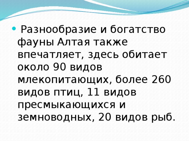  Разнообразие и богатство фауны Алтая также впечатляет, здесь обитает около 90 видов млекопитающих, более 260 видов птиц, 11 видов пресмыкающихся и земноводных, 20 видов рыб. 