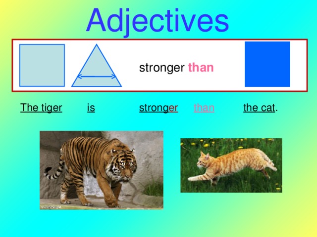 Adjectives stronger than  The tiger  is  strong er than the cat . 