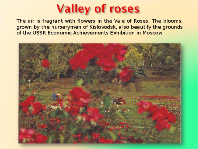 The air is fragrant with flowers in the Vale of Roses. The blooms, grown by the nurserymen of Kis­lovodsk, also beautify the grounds of the USSR Economic Achieve­ments Exhibition in Moscow 