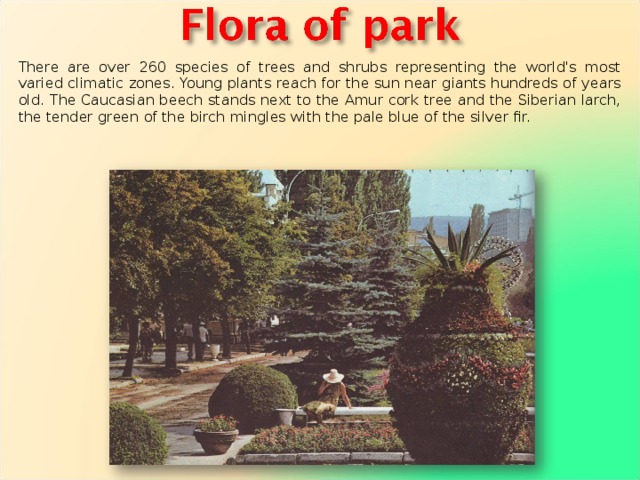There are over 260 species of trees and shrubs representing the world's most varied climatic zones. Young plants reach for the sun near giants hundreds of years old. The Caucasian beech stands next to the Amur cork tree and the Siberian larch, the tender green of the birch mingles with the pale blue of the silver fir. 