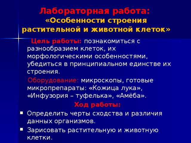 Лабораторная работа растительная и животная клетка. Лабораторная работа особенности строения животной клетки. Клетки животных вывод. Вывод по растительной и животной клетки. Растительная и животная клетка лабораторная работа вывод.