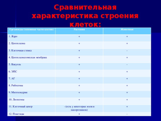 Сравнительная таблица строение клеток