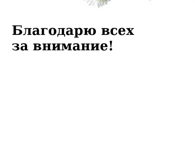 Благодарю всех  за внимание! 