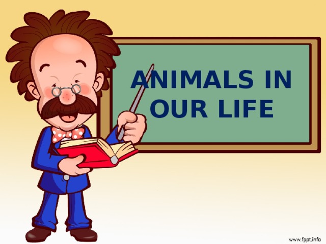 ANIMALS IN OUR LIFE 