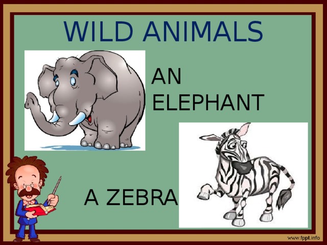WILD ANIMALS AN ELEPHANT A ZEBRA 