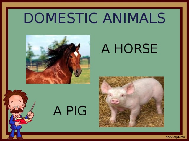 DOMESTIC ANIMALS A HORSE A PIG 