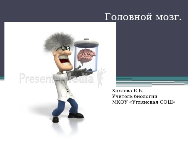 Головной мозг. Хохлова Е.В. Учитель биологии МКОУ «Углянская СОШ» 