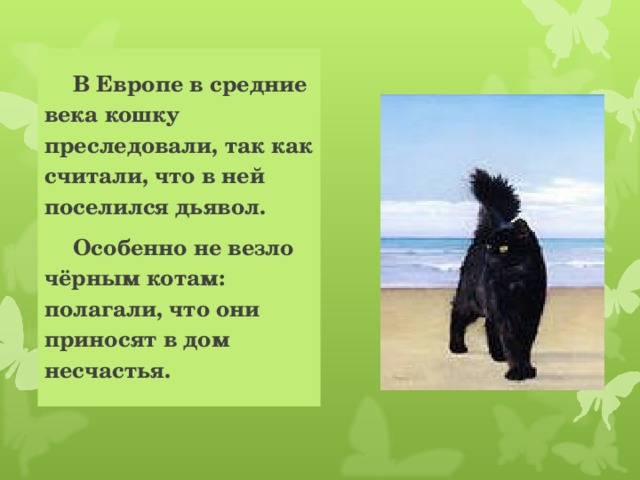  В Европе в средние века кошку преследовали, так как считали, что в ней поселился дьявол.   Особенно не везло чёрным котам: полагали, что они приносят в дом несчастья. 