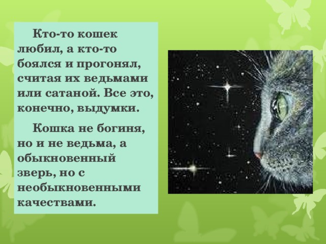  Кто-то кошек любил, а кто-то боялся и прогонял, считая их ведьмами или сатаной. Все это, конечно, выдумки.  Кошка не богиня, но и не ведьма, а обыкновенный зверь, но с необыкновенными качествами. 