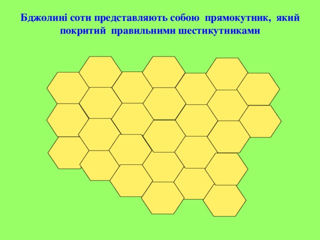   Бджолині соти представляють собою прямокутник, який покритий правильними шестикутниками   