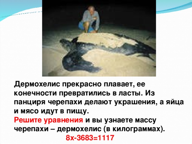 Дермохелис прекрасно плавает, ее конечности превратились в ласты. Из панциря черепахи делают украшения, а яйца и мясо идут в пищу. Решите уравнения и вы узнаете массу черепахи – дермохелис (в килограммах).  8х-3683=1117 