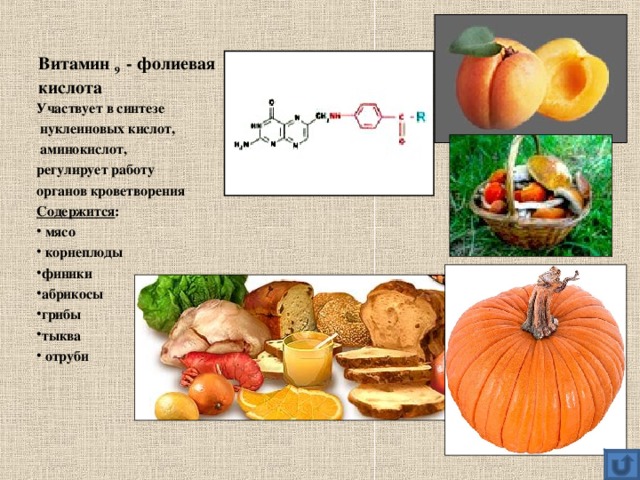 Витамин 9 - фолиевая кислота Участвует в синтезе  нуклеиновых кислот,  аминокислот, регулирует работу органов кроветворения Содержится :  мясо  корнеплоды финики абрикосы грибы тыква  отруби 