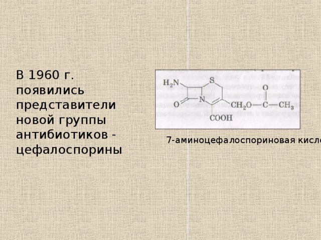 В 1960 г. появились представители новой группы антибиотиков - цефалоспорины 7-аминоцефалоспориновая кислота 
