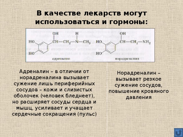 Отличие адреналина от норадреналина. Адреналин и норадреналин таблица. Гормоны адреналин и норадреналин. Эпинефрин и норэпинефрин. Различия адреналина и норадреналина.