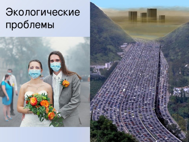 Экологические проблемы 