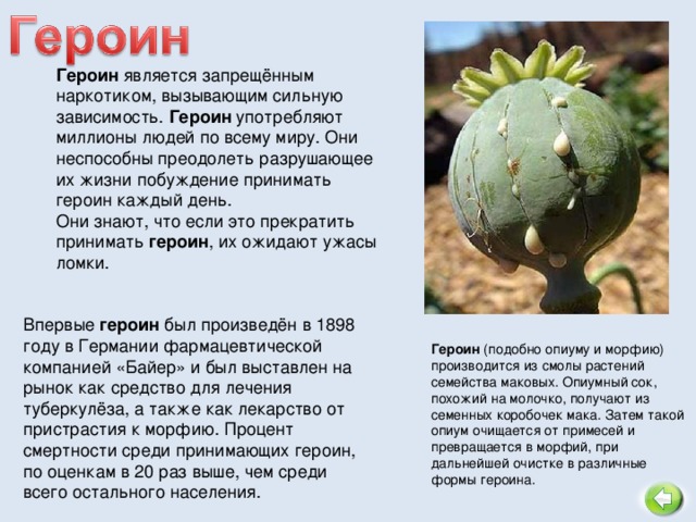 героин от слова герой героин от слова герой