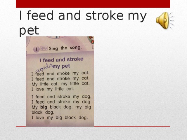 I feed and stroke my pet 