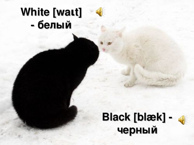 White [wa ι t] - белый Black [blæk] - черный 