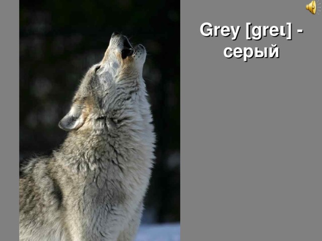 Grey [gre ι ] - серый 
