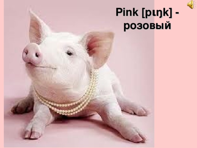 Pink [p ι ŋk] - розовый 