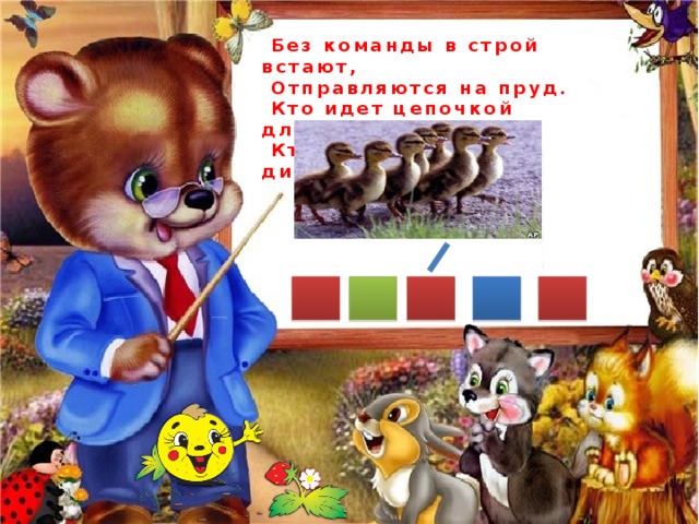  Без команды в строй встают,  Отправляются на пруд.  Кто идет цепочкой длинной,  Кто так любит дисциплину? 