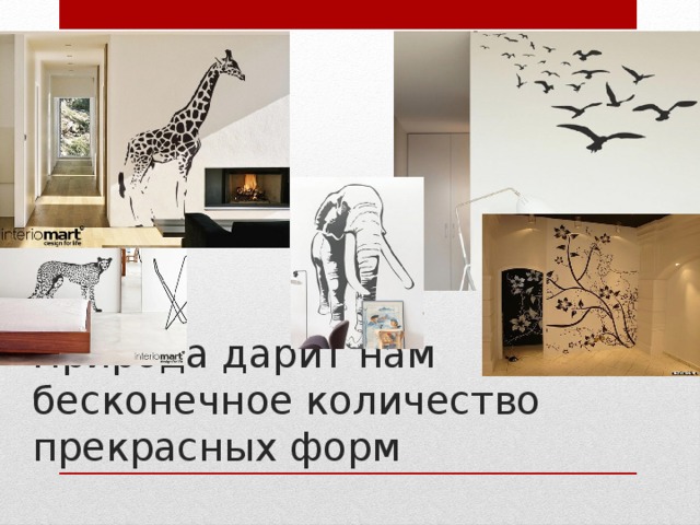 Природа дарит нам бесконечное количество прекрасных форм 