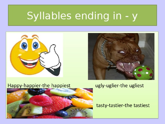 Syllables ending in - y 