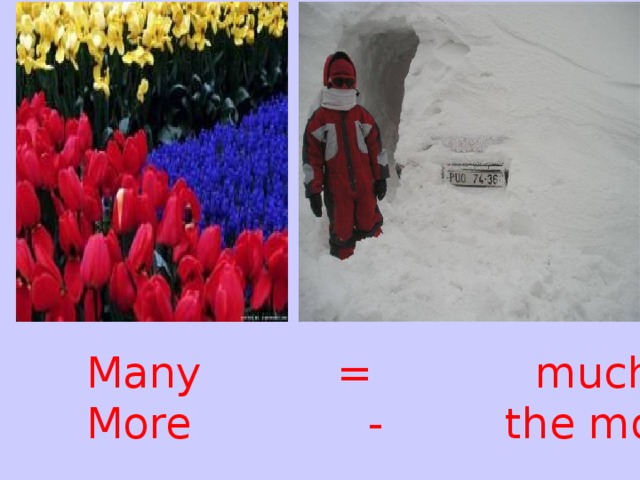 Many = much More - the most 