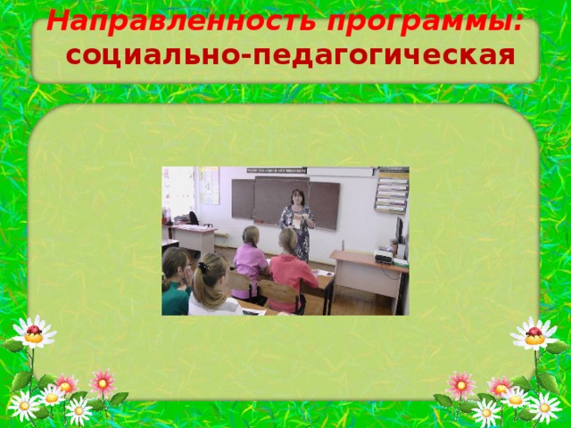 Направленность программы:   социально-педагогическая   
