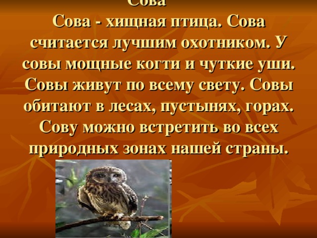 Сова   Сова - хищная птица. Сова считается лучшим охотником. У совы мощные когти и чуткие уши. Совы живут по всему свету. Совы обитают в лесах, пустынях, горах. Сову можно встретить во всех природных зонах нашей страны. 