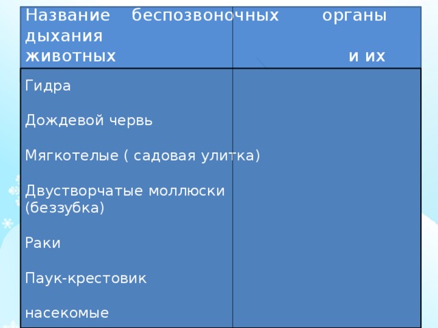 Изучение новой темы Название беспозвоночных органы дыхания животных и их строение Гидра Дождевой червь Мягкотелые ( садовая улитка) Двустворчатые моллюски (беззубка) Раки Паук-крестовик насекомые 