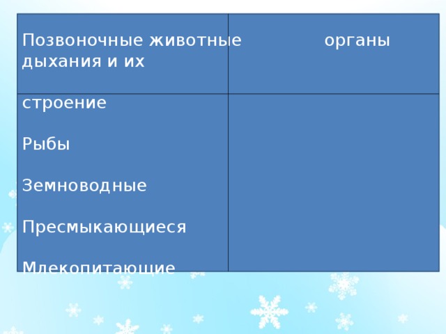 Позвоночные животные органы дыхания и их  строение Рыбы Земноводные Пресмыкающиеся Млекопитающие 