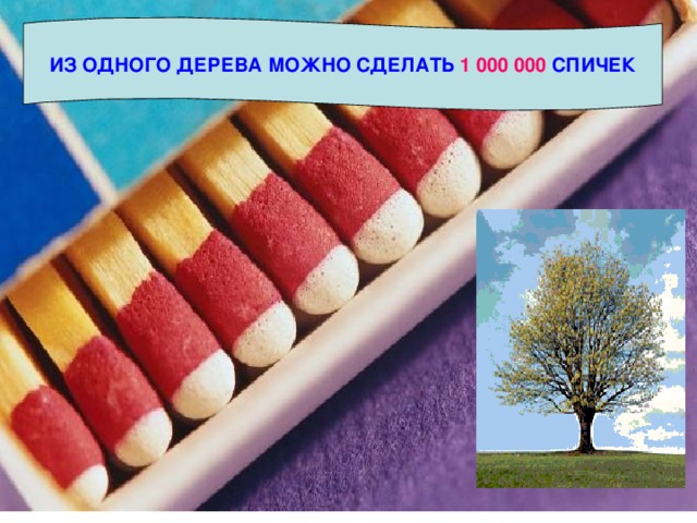 ИЗ ОДНОГО ДЕРЕВА МОЖНО СДЕЛАТЬ 1 000 000 СПИЧЕК 