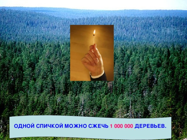 ОДНОЙ СПИЧКОЙ МОЖНО СЖЕЧЬ 1 000 000 ДЕРЕВЬЕВ. 