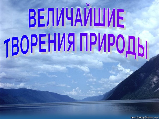 Природу нужно охранять и изучать 