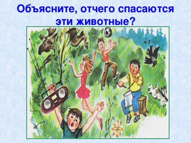 Объясните, отчего спасаются эти животные? 