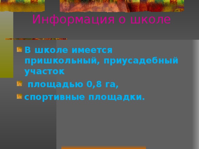 Информация о школе В школе имеется пришкольный, приусадебный участок  площадью 0,8 га, спортивные площадки. 