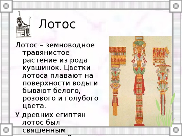 Лотос Лотос – земноводное травянистое растение из рода кувшинок. Цветки лотоса плавают на поверхности воды и бывают белого, розового и голубого цвета. У древних египтян лотос был священным растением. Они приписывали ему лечебные и магические свойства. 