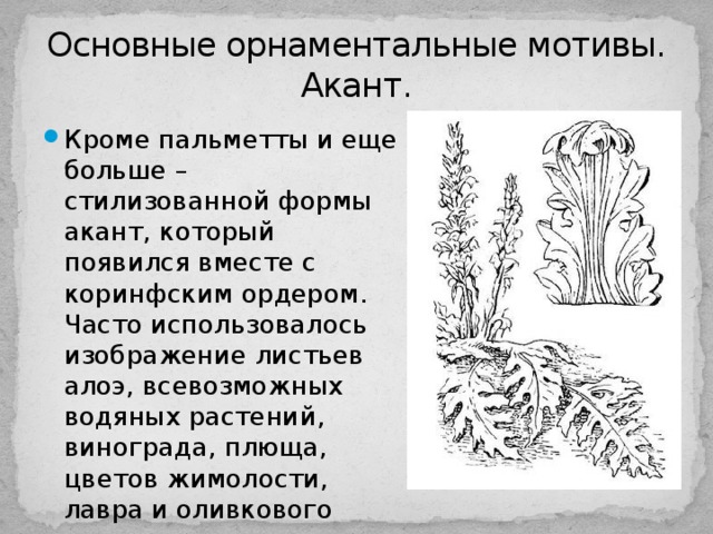 Основные орнаментальные мотивы.  Акант. Кроме пальметты и еще больше – стилизованной формы акант, который появился вместе с коринфским ордером. Часто использовалось изображение листьев алоэ, всевозможных водяных растений, винограда, плюща, цветов жимолости, лавра и оливкового дерева. 