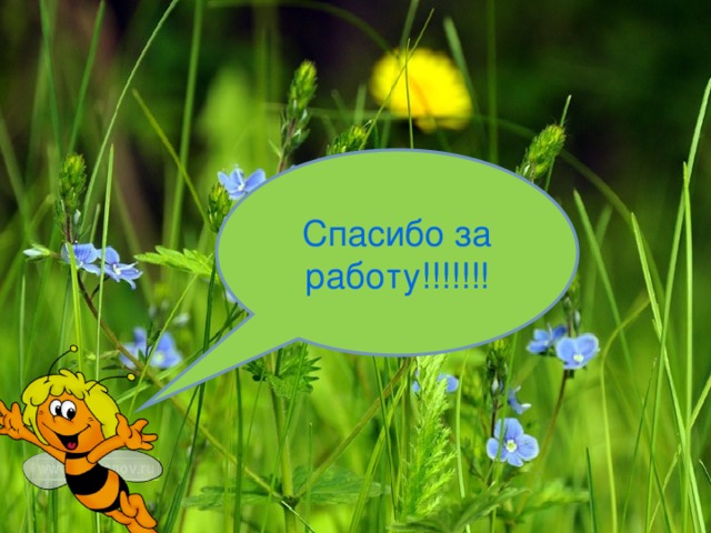 Спасибо за работу!!!!!!! 