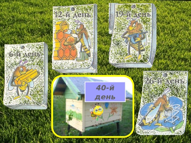 40-й день 
