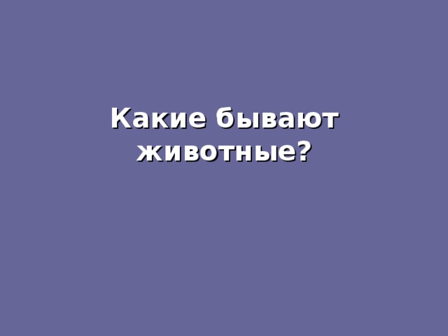 Какие бывают животные? 